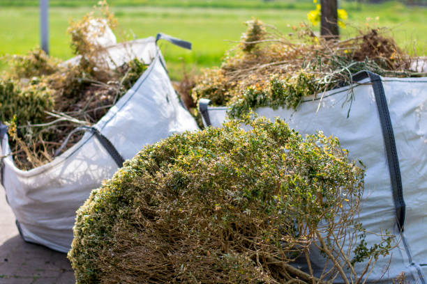 Best Residential Junk Removal  in Lake Holiday, IL